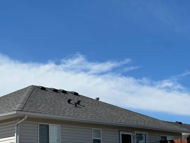 Best Chimney Flashing Repair  in Hebron, IL